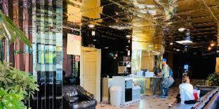 Jfk Inn New York Rom bilde